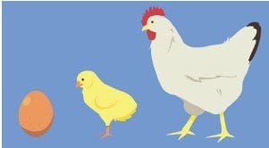 Screenshot 2025 11 24 094609