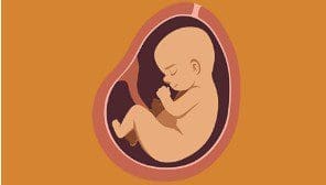 Screenshot 2025 11 24 094639